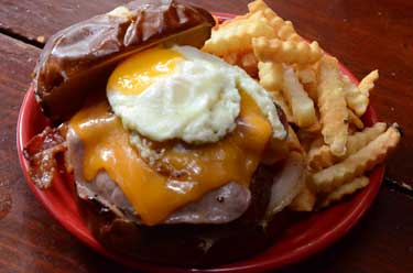 Sandwhich and fries